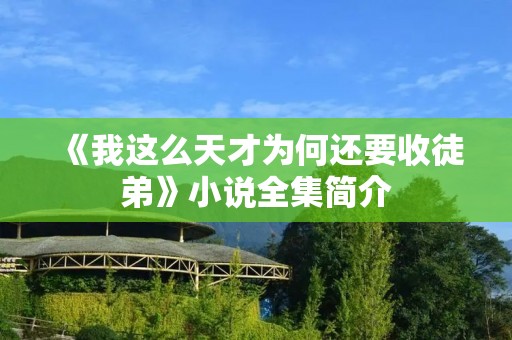 《我这么天才为何还要收徒弟》小说全集简介
