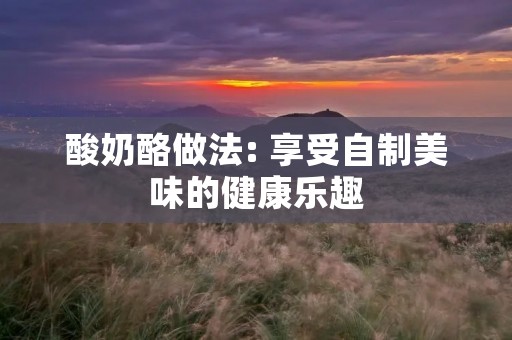 酸奶酪做法: 享受自制美味的健康乐趣 酸奶酪做法: 享受自制美味的健康乐趣
