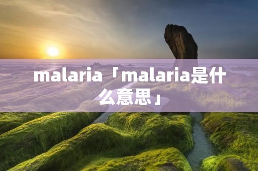malaria「malaria是什么意思」