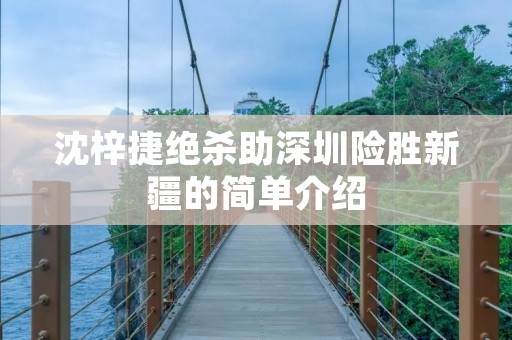 沈梓捷绝杀助深圳险胜新疆的简单介绍