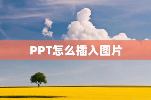 PPT怎么插入图片:一步步教你轻松操作