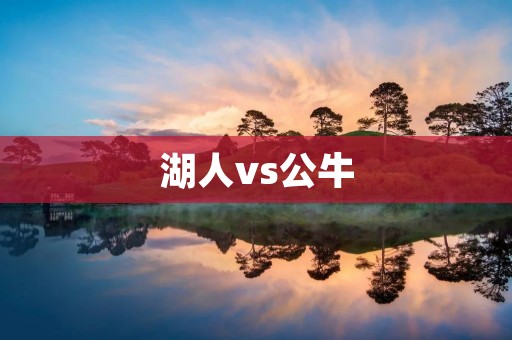 湖人vs公牛：激烈对决引爆球迷热情
