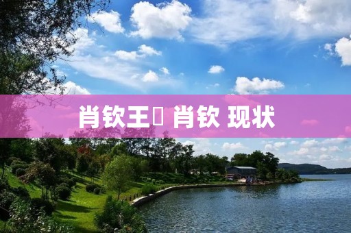 肖钦王媞 肖钦 现状