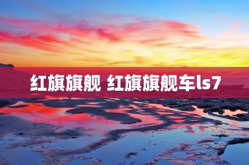 红旗旗舰 红旗旗舰车ls7