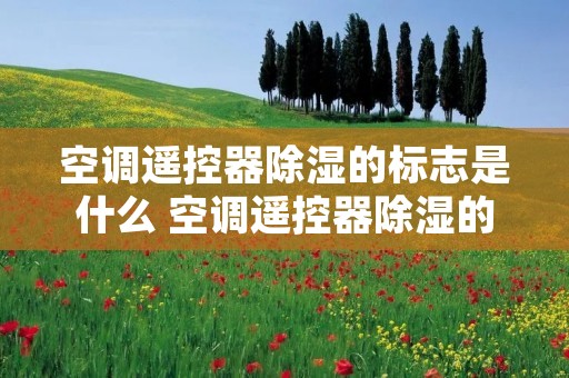空调遥控器除湿的标志是什么 空调遥控器除湿的标志是什么样的
