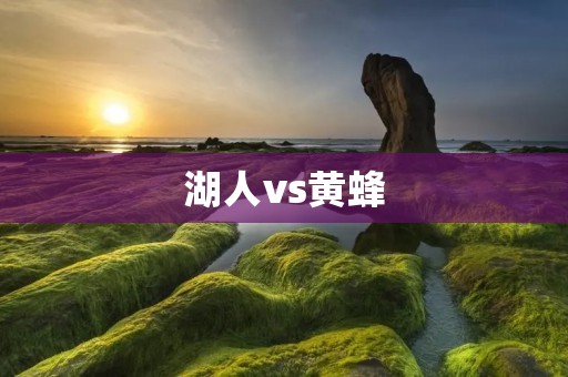 湖人vs黄蜂：一场激烈交锋的细节揭秘