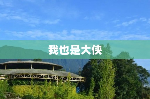 我也是大侠：探究大侠文化的传承与演变