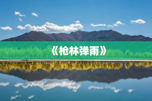 《枪林弹雨》:一款真实打枪小游戏 《枪林弹雨》:一款真实打枪小游戏