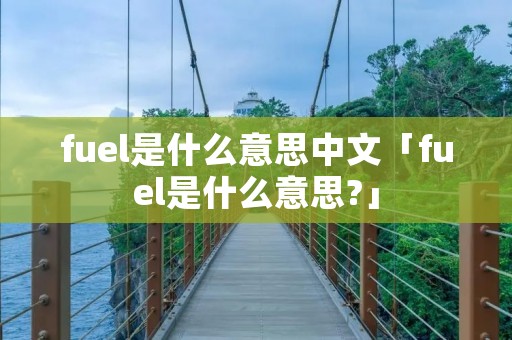 fuel是什么意思中文「fuel是什么意思?」 fuel是什么意思中文「fuel是什么意思?」