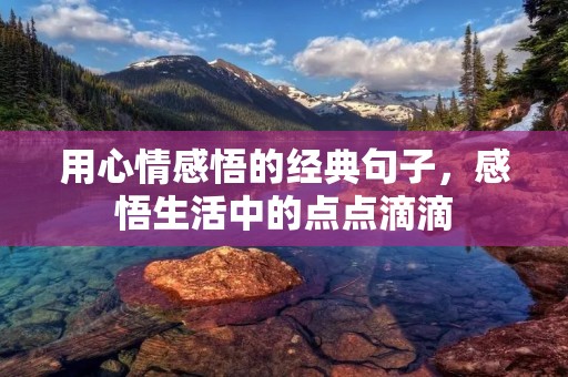 用心情感悟的经典句子,感悟生活中的点点滴滴
