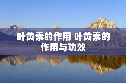 叶黄素的作用 叶黄素的作用与功效