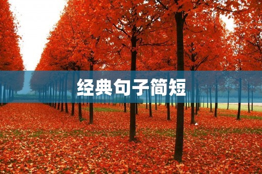 经典句子简短:引发思考的力量 经典句子简短:引发思考的力量