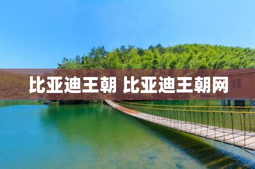 比亚迪王朝 比亚迪王朝网