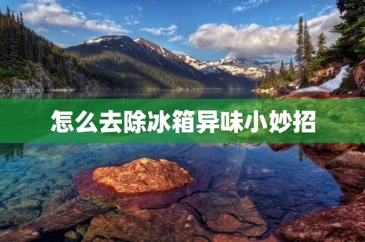 怎么去除冰箱异味小妙招 怎么去除冰箱异味小妙招