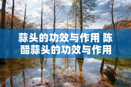 蒜头的功效与作用 陈醋蒜头的功效与作用