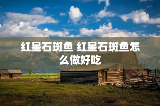 红星石斑鱼 红星石斑鱼怎么做好吃