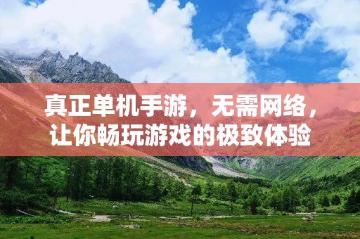 真正单机手游，无需网络，让你畅玩游戏的极致体验