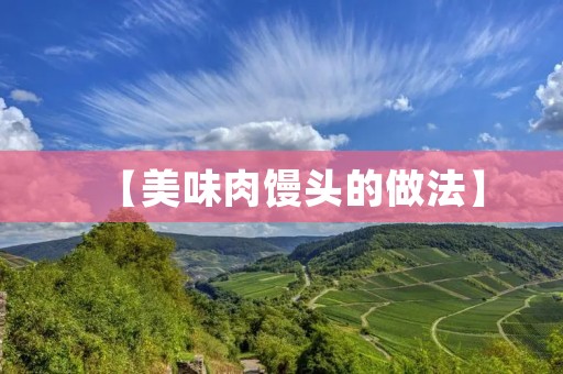 【美味肉馒头的做法】
