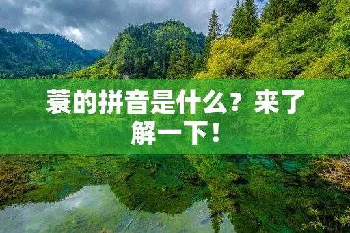 蓑的拼音是什么?来了解一下!