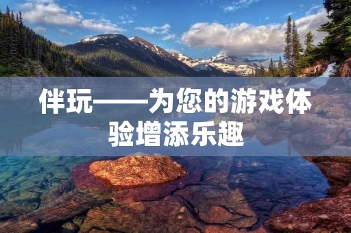 伴玩——为您的游戏体验增添乐趣 伴玩——为您的游戏体验增添乐趣