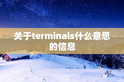 关于terminals什么意思的信息
