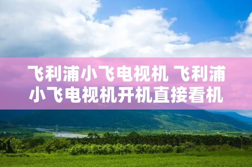飞利浦小飞电视机 飞利浦小飞电视机开机直接看机顶盒