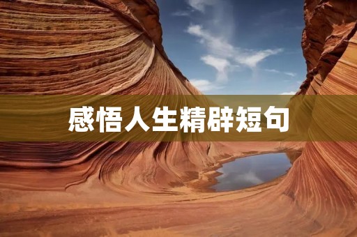 感悟人生精辟短句：洞悉生命的真谛
