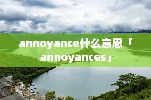 annoyance什么意思「annoyances」