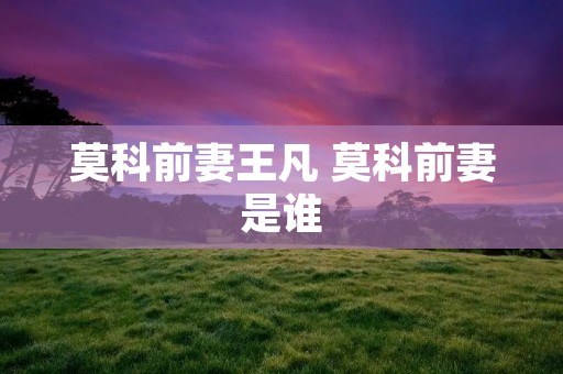 莫科前妻王凡 莫科前妻是谁 莫科前妻王凡 莫科前妻是谁