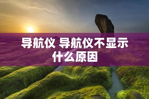 导航仪 导航仪不显示什么原因 导航仪 导航仪不显示什么原因