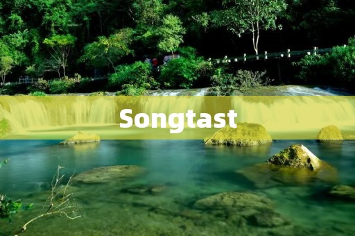 Songtast:打造个性化音乐推荐的神器 Songtast:打造个性化音乐推荐的神器