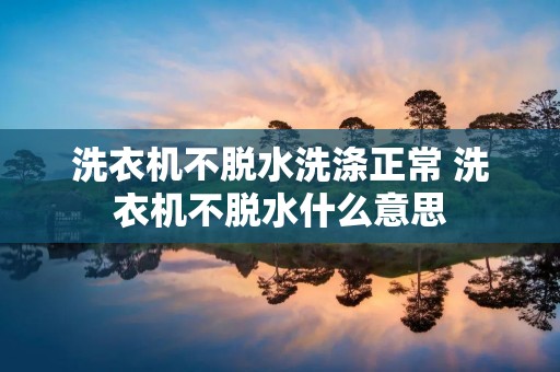 洗衣机不脱水洗涤正常 洗衣机不脱水什么意思