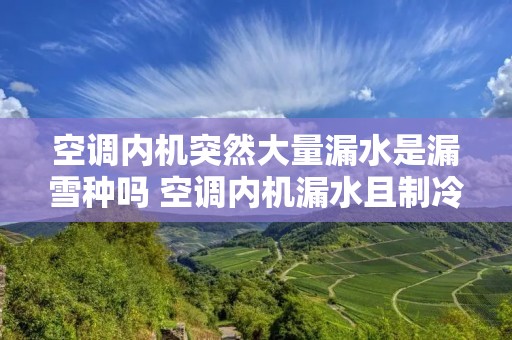 空调内机突然大量漏水是漏雪种吗 空调内机漏水且制冷效果变差是什么问题怎么解决
