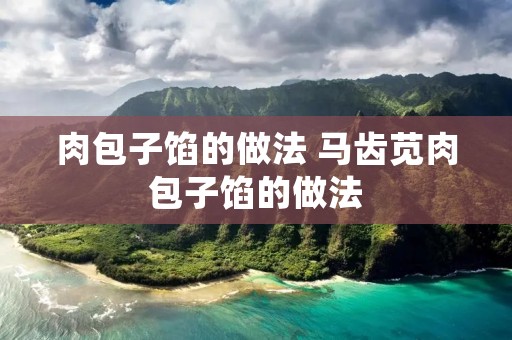 肉包子馅的做法 马齿苋肉包子馅的做法 肉包子馅的做法 马齿苋肉包子馅的做法