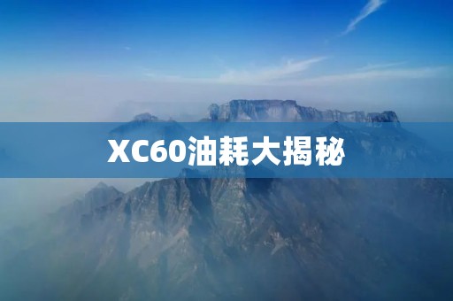 XC60油耗大揭秘：如何优化燃油效率