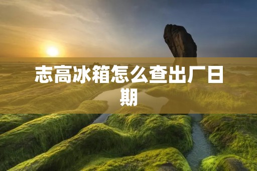 志高冰箱怎么查出厂日期
