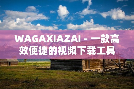 WAGAXIAZAI - 一款高效便捷的视频下载工具