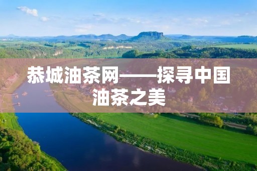 恭城油茶网——探寻中国油茶之美