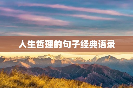 人生哲理的句子经典语录