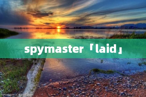 spymaster「laid」