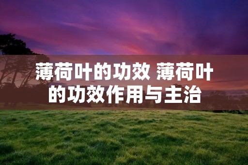 薄荷叶的功效 薄荷叶的功效作用与主治 薄荷叶的功效 薄荷叶的功效作用与主治