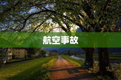 航空事故:揭秘背后的真相 航空事故:揭秘背后的真相