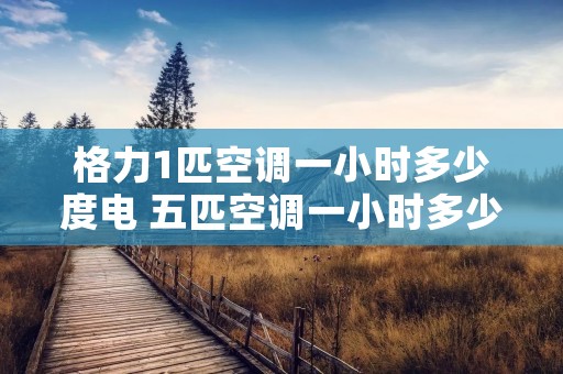 格力1匹空调一小时多少度电 五匹空调一小时多少度电 格力1匹空调一小时多少度电 五匹空调一小时多少度电