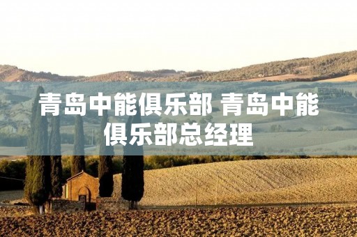 青岛中能俱乐部 青岛中能俱乐部总经理