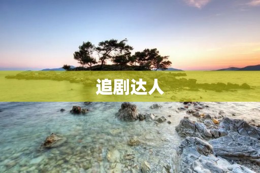 追剧达人：探索电视剧世界的最佳方式