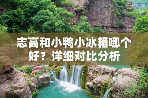 志高和小鸭小冰箱哪个好？详细对比分析