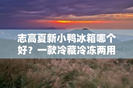 志高夏新小鸭冰箱哪个好？一款冷藏冷冻两用的高性能电器