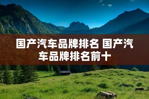 国产汽车品牌排名 国产汽车品牌排名前十 国产汽车品牌排名 国产汽车品牌排名前十