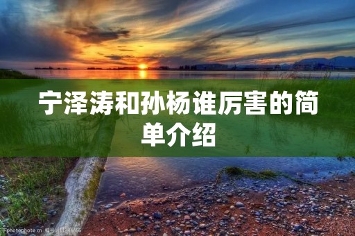 宁泽涛和孙杨谁厉害的简单介绍