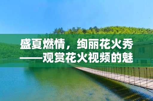 盛夏燃情，绚丽花火秀——观赏花火视频的魅力